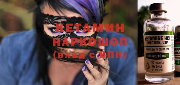 шишки Ельня