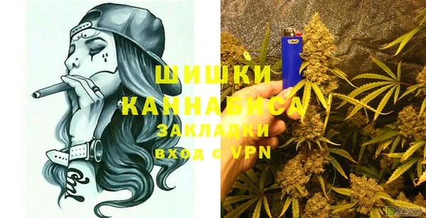 шишки Ельня