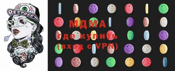 шишки Ельня
