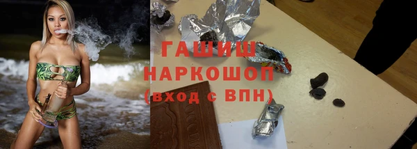 шишки Ельня