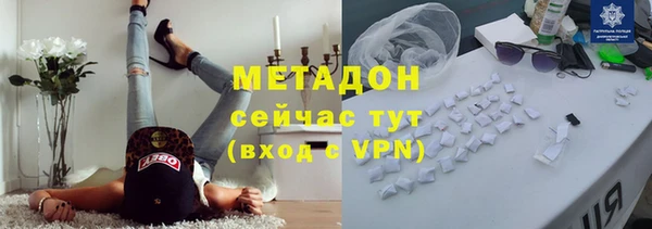 шишки Ельня