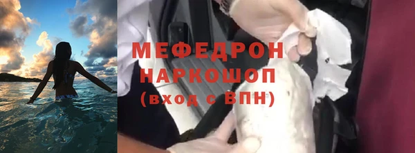 шишки Ельня
