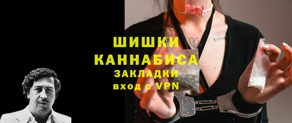 шишки Ельня