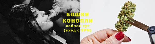 шишки Ельня