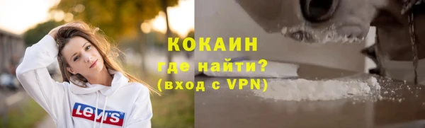 шишки Ельня
