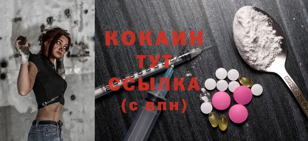 шишки Ельня