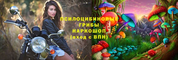 метамфетамин Елизово