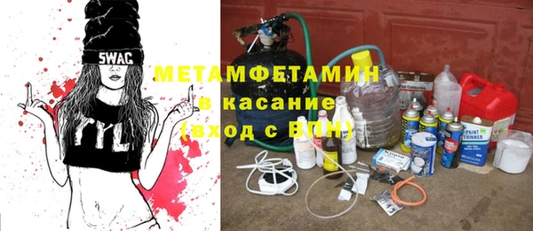 шишки Ельня