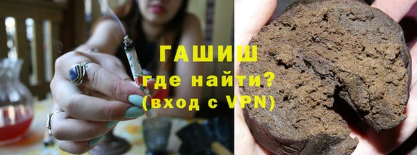 шишки Ельня