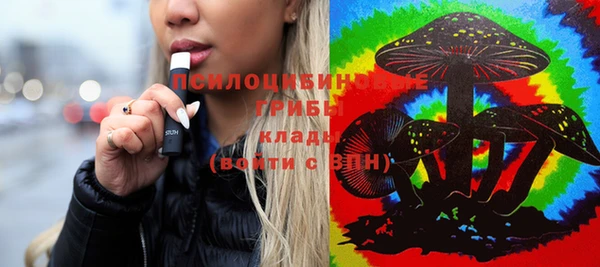 шишки Ельня