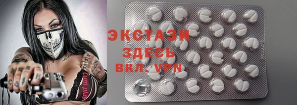 шишки Ельня