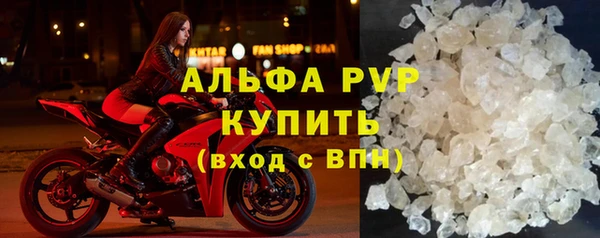 шишки Ельня