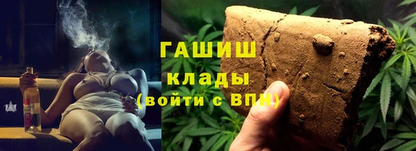 шишки Ельня