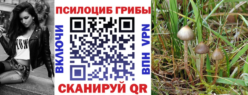 kraken как зайти  это наркотические препараты  Галлюциногенные грибы MAGIC MUSHROOMS  Новочебоксарск 
